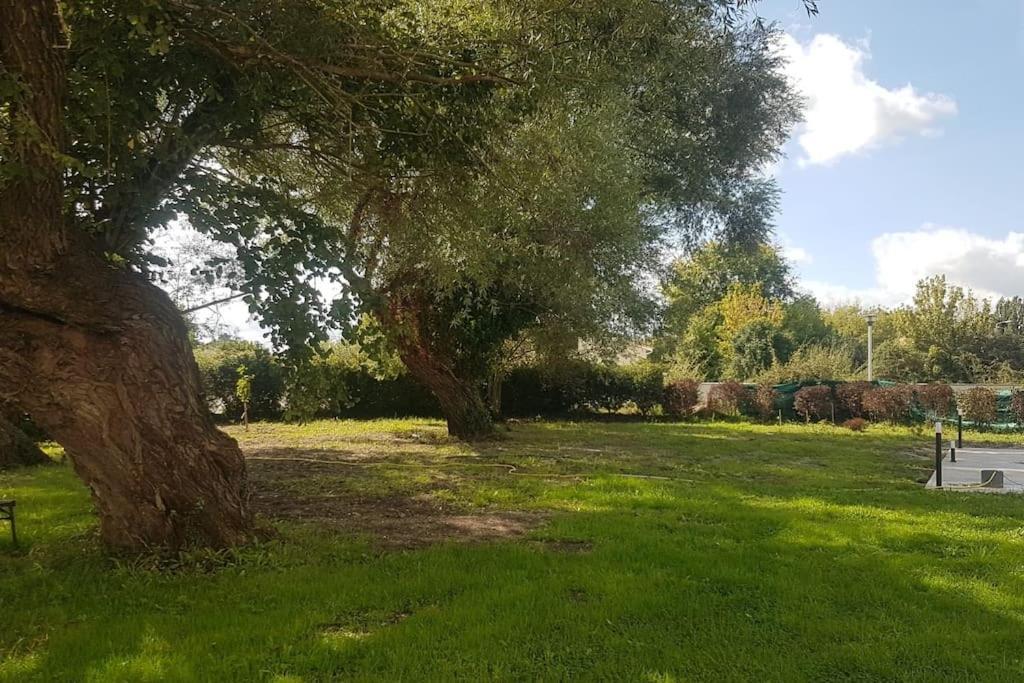 Demeure En Pierre Avec Piscine Privee Villa Etauliers Kültér fotó